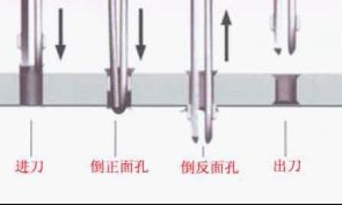 【崇堉】崇禮區 - 崇苈子功效与作用禁忌网