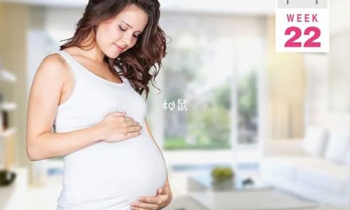 崇堉-【崇堉】崇禮區 - 崇苈子功效与作用禁忌网