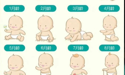 崇堉-【崇堉】崇禮區 - 崇苈子功效与作用禁忌网